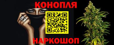 гидропоника Моздок