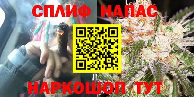 гидропоника Моздок